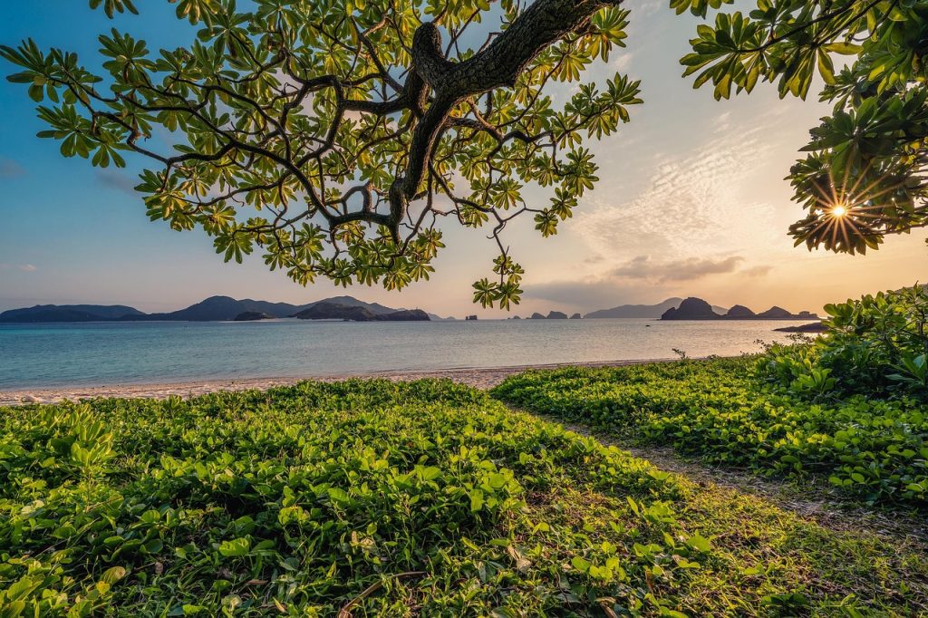 sunset, nature background, sand, beach, islands, leaf, subtropical, nature, okinawa, japan, beautiful nature, landscape, hd wallpapers, hd wallpaper, nature wallpaper